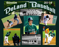 DHS Baseball 2014